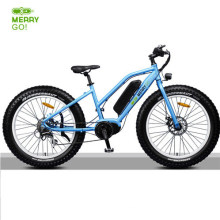 MID Drive Motor 350W-750W Electric Bicycle 26" Fat Tire Electric Bike E Bike with Suspension